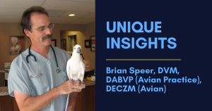 Unique Practitioner Dr. Brian Speer avian veterinary career journey